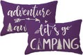 Adventure Camper Decorative Lumbar Pillowcase Double-sided Let’s Go Camping/Adventure Awaits Throw Pillow Covers Cabin/Camper Cushion Covers 12x20,2Pack for Sofa/Couch/Porch (Purple)