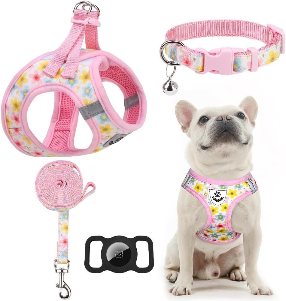 EXPAWLORER Small Dog Harness and Leash Set - Cute Puppy Harness Leash Dog Collar with AirTag Holder Silicone Case, Soft Padded Step in Pet Vest Reflective for Outdoor Walking, Strawberry XS