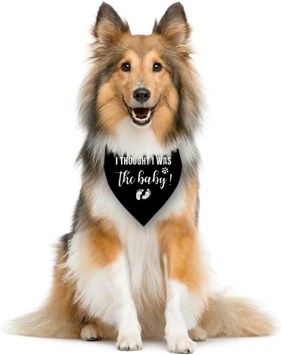 I Thought I Was The Baby Dog Bandana - Pregnancy Announcement Triangle Scarf for Large Dogs (L)