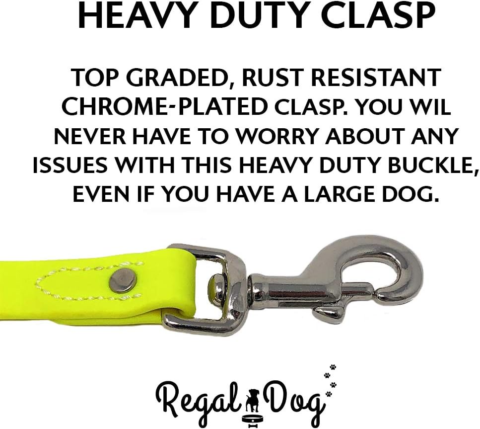 Regal Dog Products Waterproof Dog Collar, Nickel, Small Yellow & Leash