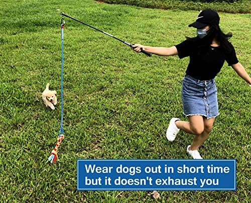 Interactive Flirt Pole Toy for Dogs Chase,Outdoor Exercise,Agility Training