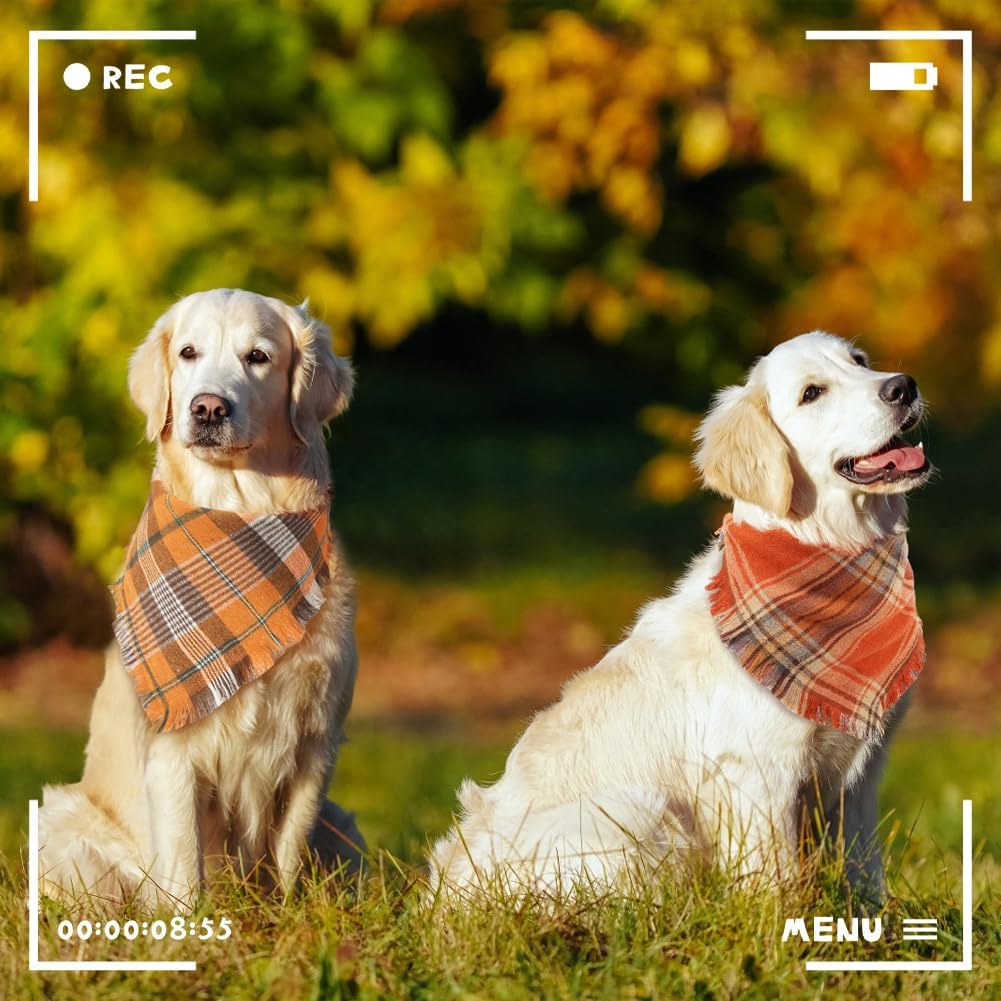 Vivifying Fall Dog Bandanas, 2 Pack Halloween Classic Plaid Dog Scarf with Tassels Edges, Funny Pet Apparel & Accessories Costume for Thanksgiving, Photo Prop, and Party Decor (X-Large, Yellow&Orange)