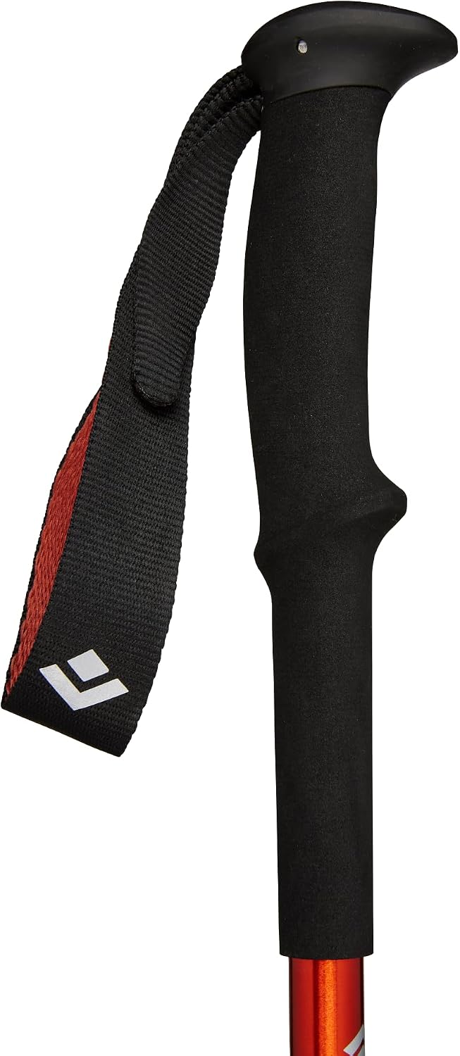 Black Diamond Equipment - Trail Back Trek Poles