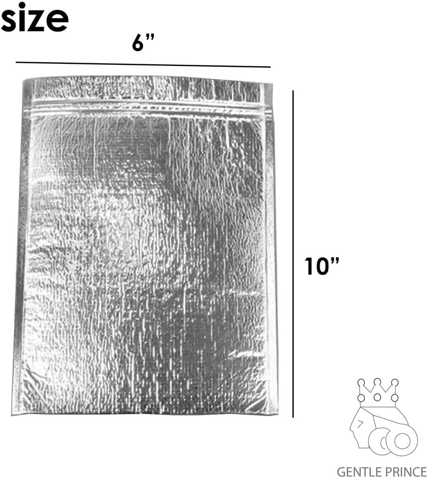 IInsulated Easy Zip Lock Resealable Aluminum Bag with ice pack Lunch Bag Sandwich Bag Hot & Cold Pouch Reusable Thermal Picnic Bag (6 x 10 Inch), SMALL, Sliver