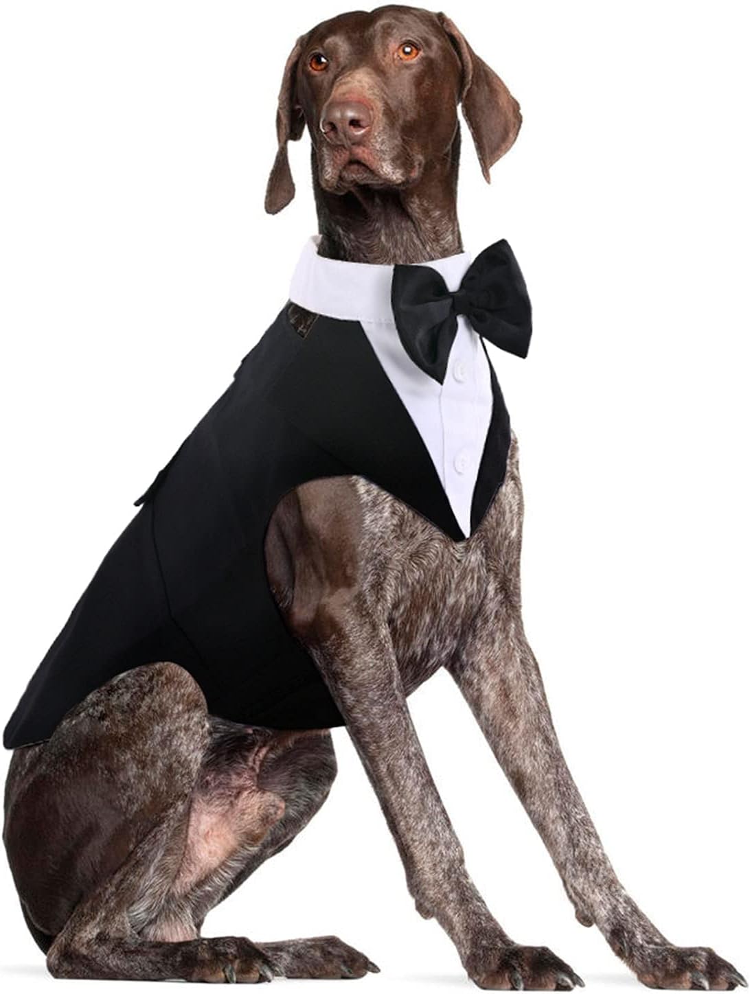 Dog Tuxedo for Large Dogs, Dog Suit and Bandana Set, Dog Costume Outfit