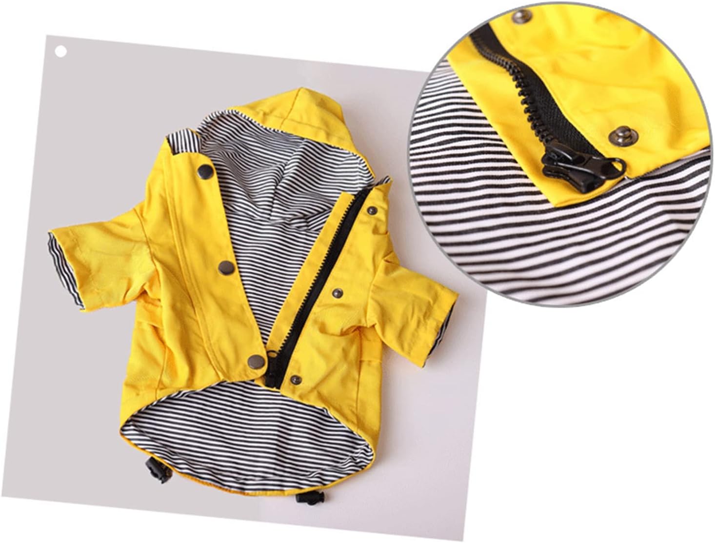 Skateboard Frog Dog Raincoat Jacket Zip up Yellow Hoodie Water Resistant
