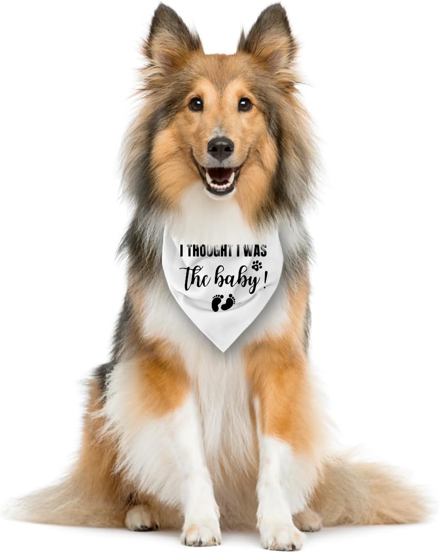 I Thought I Was The Baby Dog Bandana - Pregnancy Announcement Triangle Scarf for Large Dogs (L)