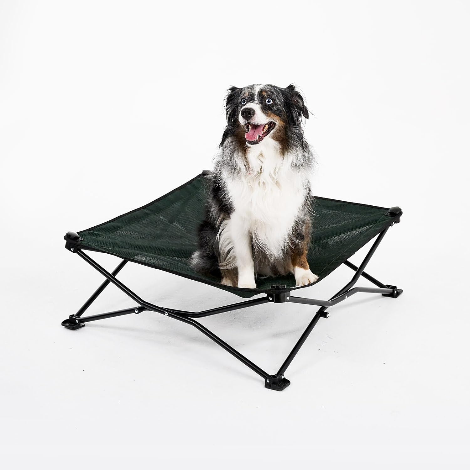 Coolaroo On-The-Go Elevated Dog Bed - Foldable Pop-Up Travel Dog Bed with Breathable, Moisture-Resistant Fabric, Carry Bag Included, Lightweight & Portable, Brunswick Green, Medium