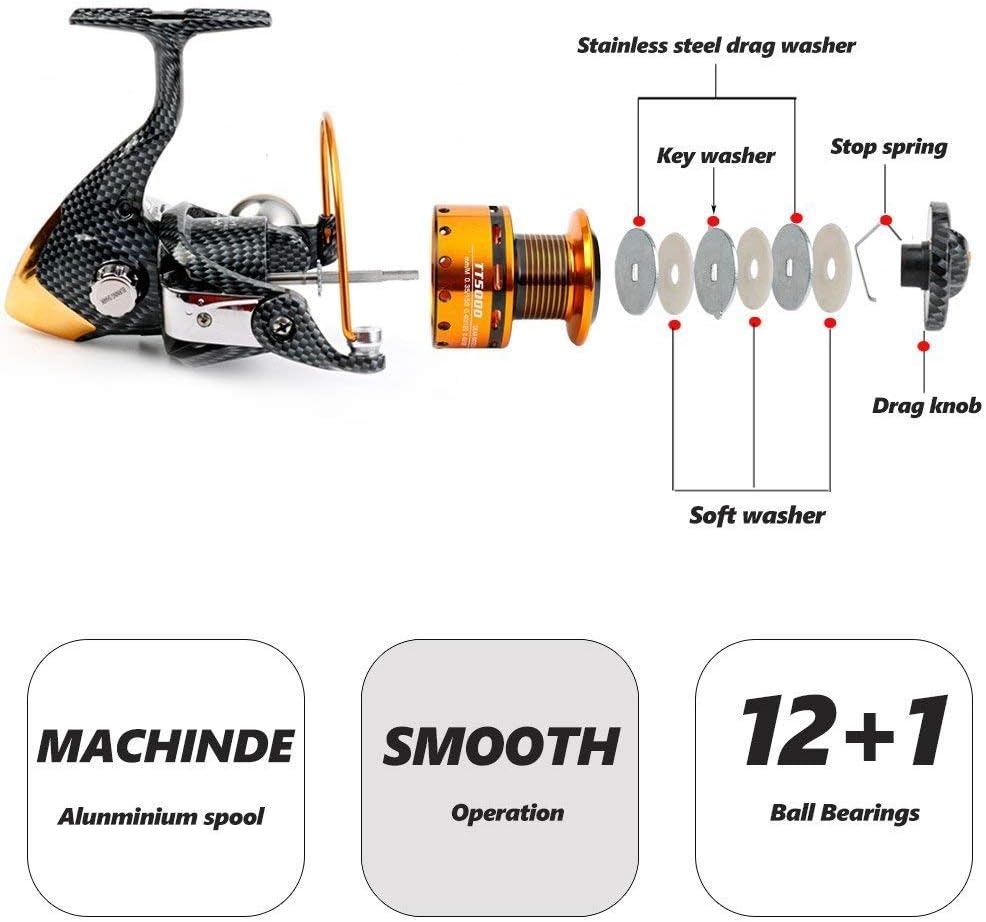 Burning Shark Fishing Reels- 12+1 BB, Light and Smooth Spinning Reels, Powerful Carbon Fiber Drag, Saltwater and Freshwater Fishing