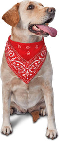 Red Paisley Dog Bandana Scarf Triangle Bibs Pet Accessories Cat Kerchief One Size