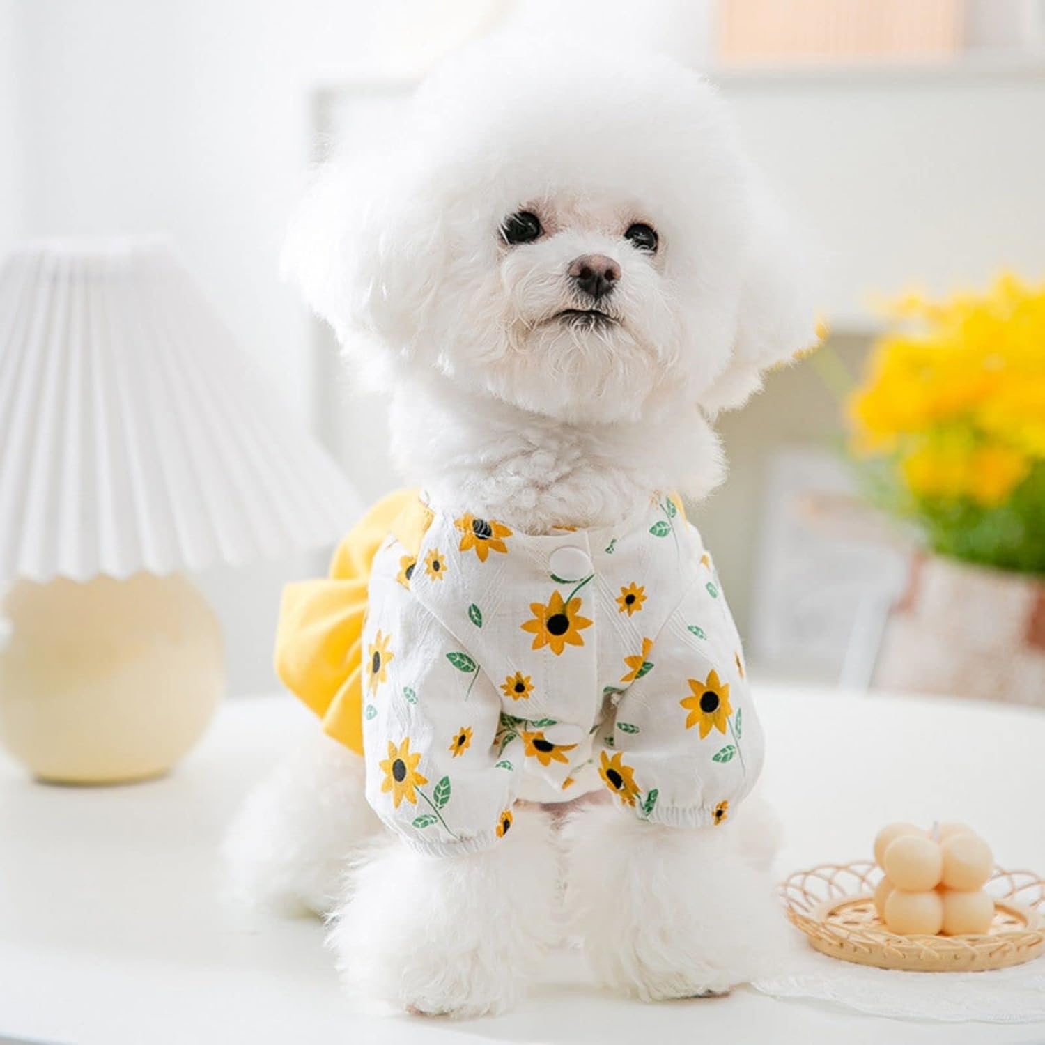 Dog Dress Dog Princess Dresses Outfit Puppy Dog Skirt Lace Shining Embroiderd Bowknot Pet Clothes Girl for Wedding Birthday Party Cat Apparel