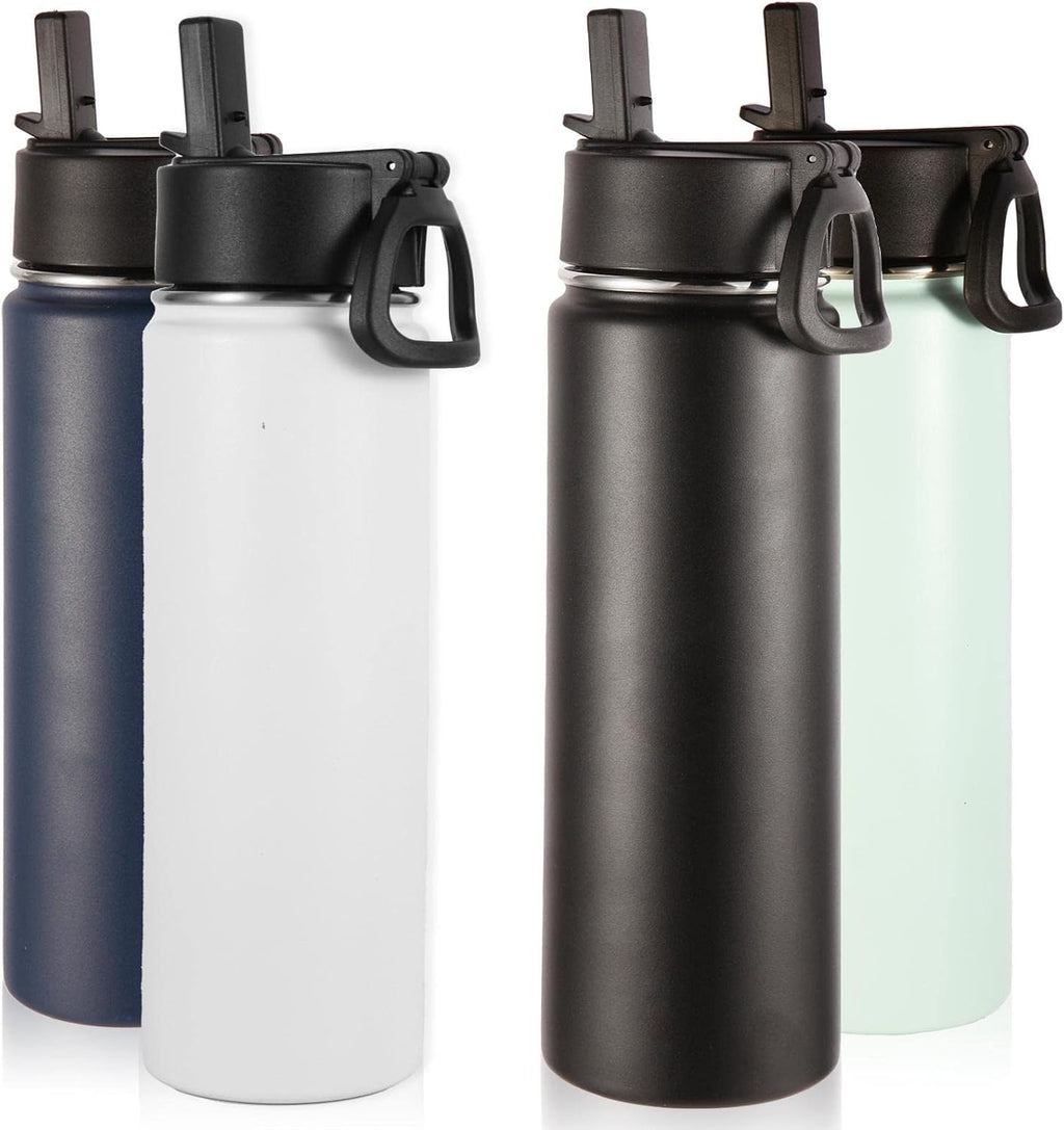 Volhoply Insulated Water Bottles with Straw Bulk 4 Pack, 22 oz Stainless Steel Sports Bottle with Handle Lid,Double Walled Vacuum Metal Water Cups with Wide Mouth, Reusable Waterbottle(Mix,4 Set)