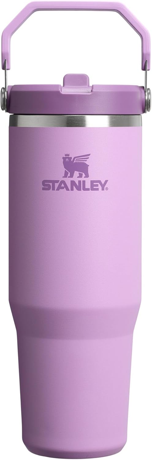 Stanley IceFlow Flip Straw Tumbler with Handle 20 oz | Twist On Lid and Flip Up Straw | Leak Resistant Water Bottle | Insulated Stainless Steel |BPA-Free | Ash