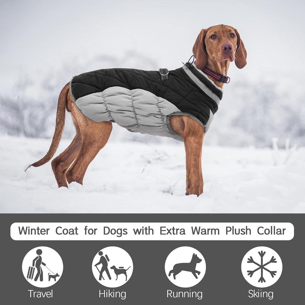 FUAMEY Dog Coat for Small Dogs, Fleece Dog Winter Jacket with Harness
