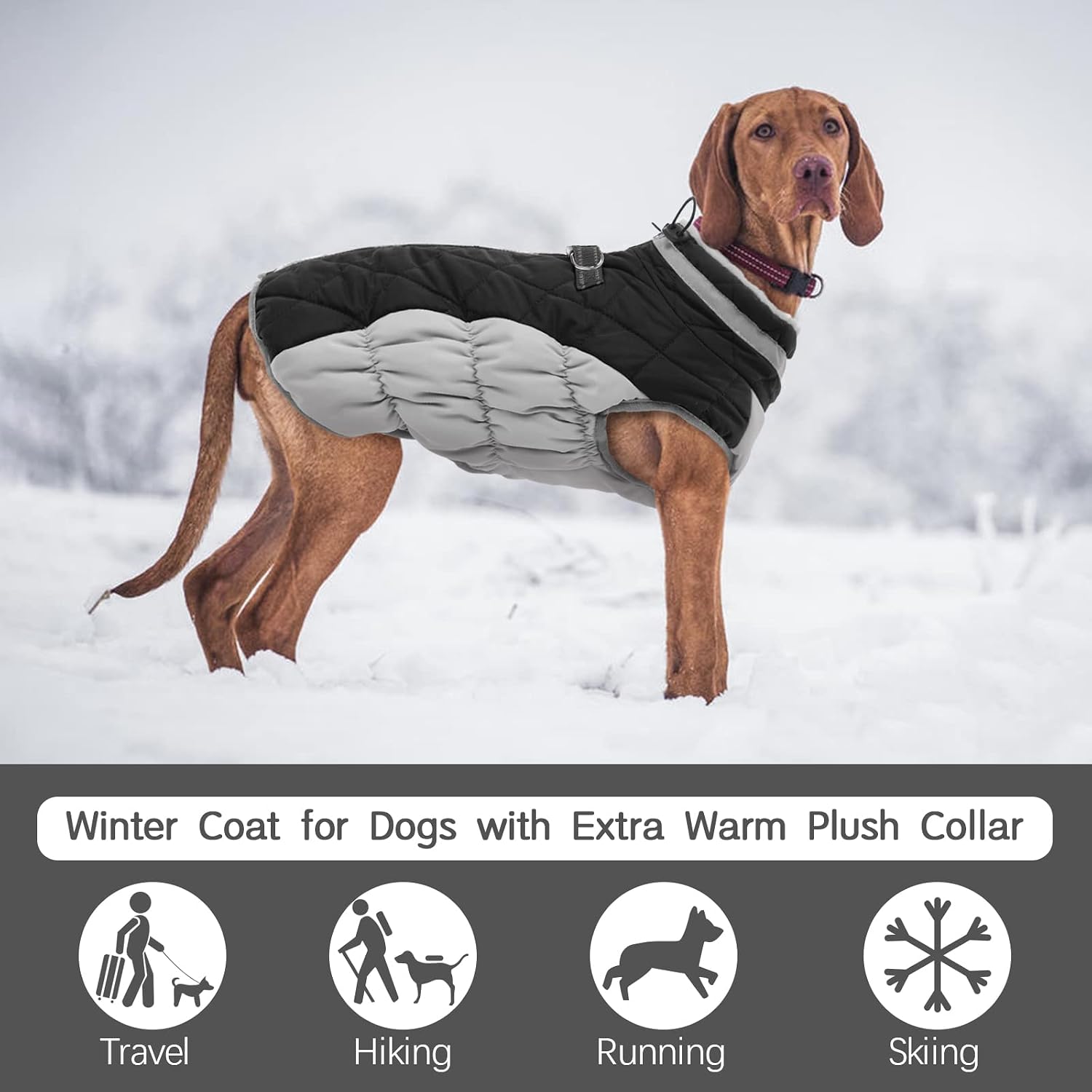 FUAMEY Dog Coat for Small Dogs, Fleece Dog Winter Jacket with Harness