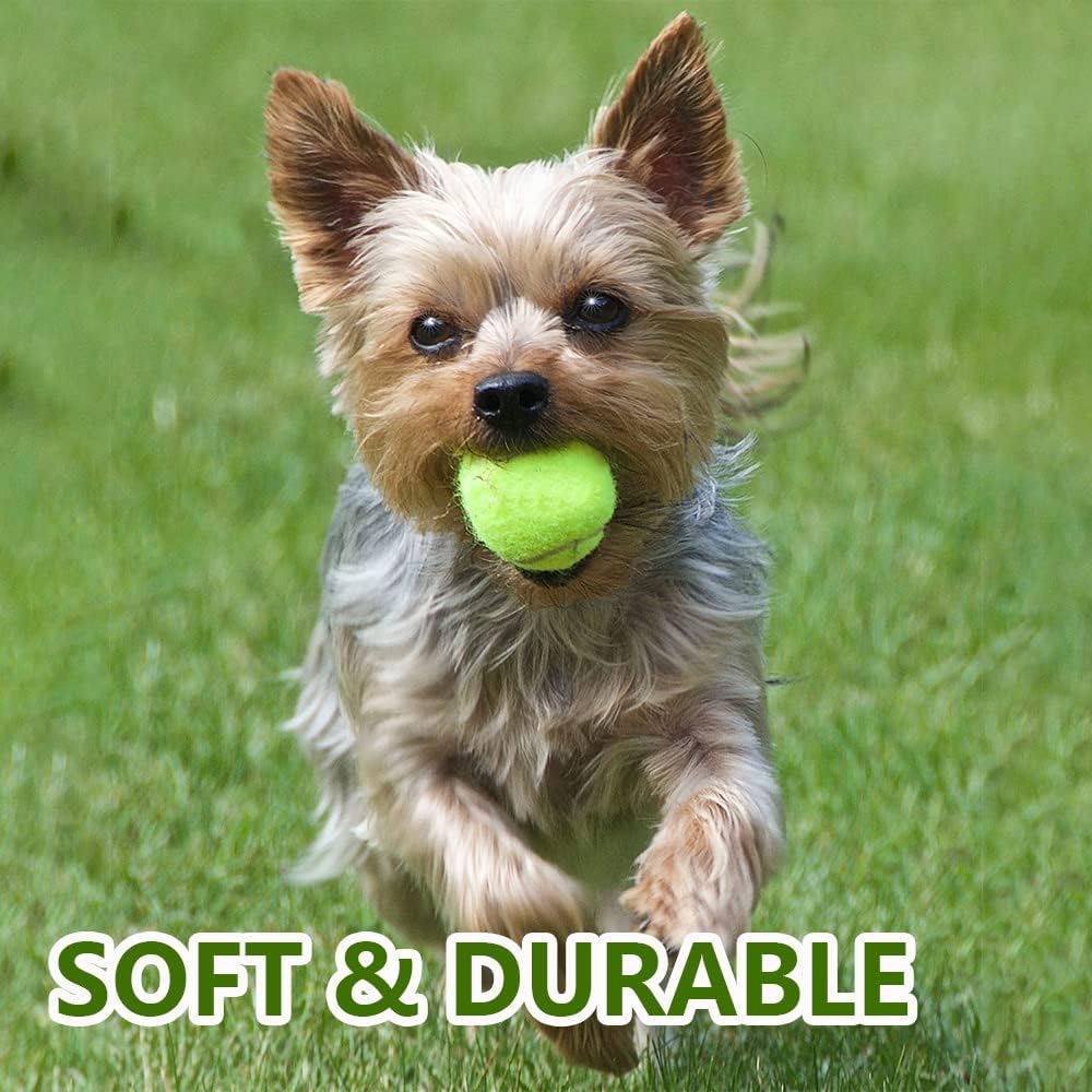 BESTHLS 2inch Pet Toy Tennis Ball for Puppy Fetching Exercise & Training