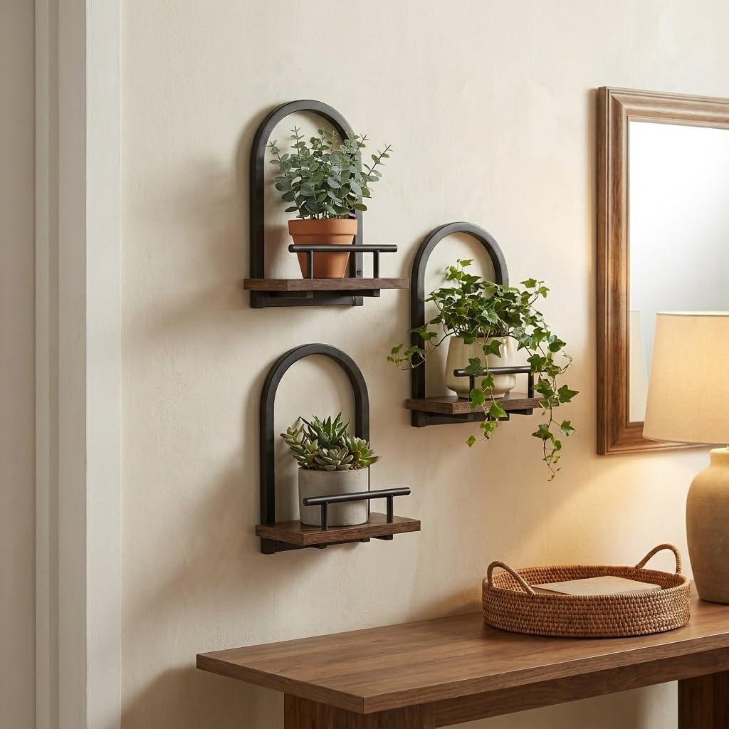 Amaoot Floating Shelves Set for 2, Wall Plant Holder Shelf, Wall Planters