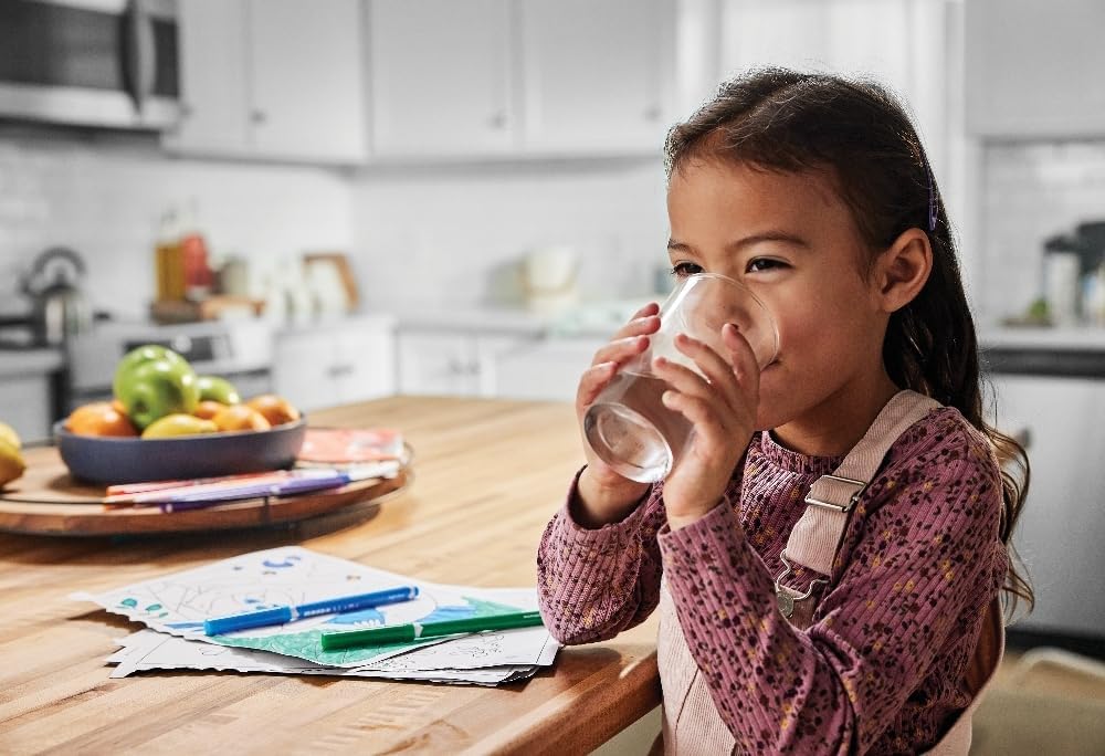Frigidaire WF3CB Refrigerator Water Filter Replacement, White, 1 Count