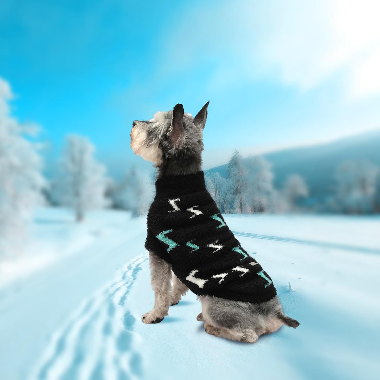 Dog Sweaters for Small Dogs Boy Girl Puppy Pullover Sweater Cold Weather Cable Knitwear Thick Warm Outfits for Chihuahua Bulldog Dachshund Pug Yorkie (Black-XS)