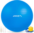APEXUP Yoga Ball, 660 lbs Anti-Burst Exercise Ball with Pump, 5 Sizes