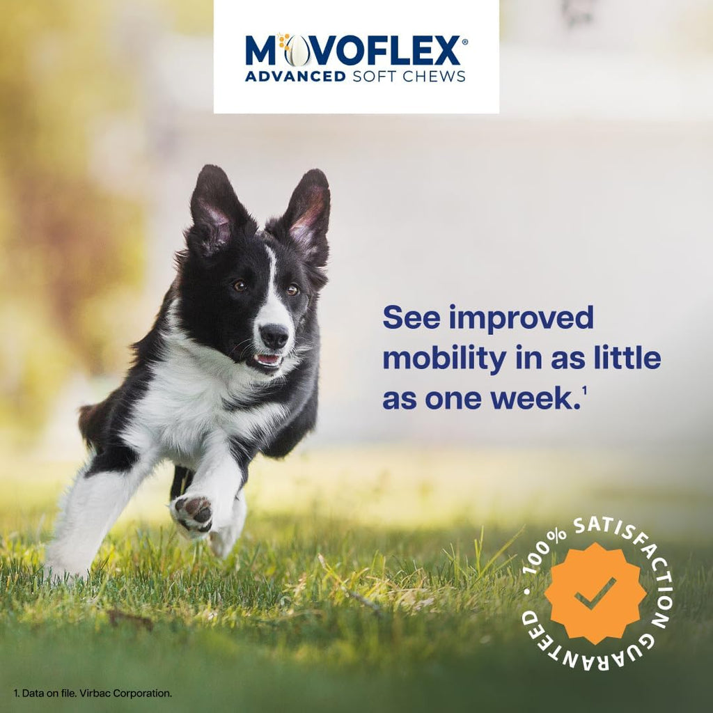 MOVOFLEX Advanced Soft Chews Hip and Joint Support Supplement for Medium Dogs - 60 Count by Virbac