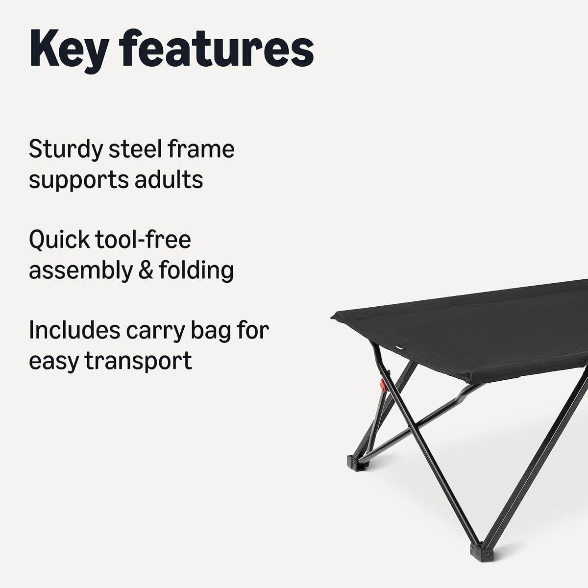 Amazon Basics Folding Camping Cot for Adults, 81.5 x 30.4 Inch Twin Size Steel Frame, 350 lb Capacity, Portable with Carry Bag, Black
