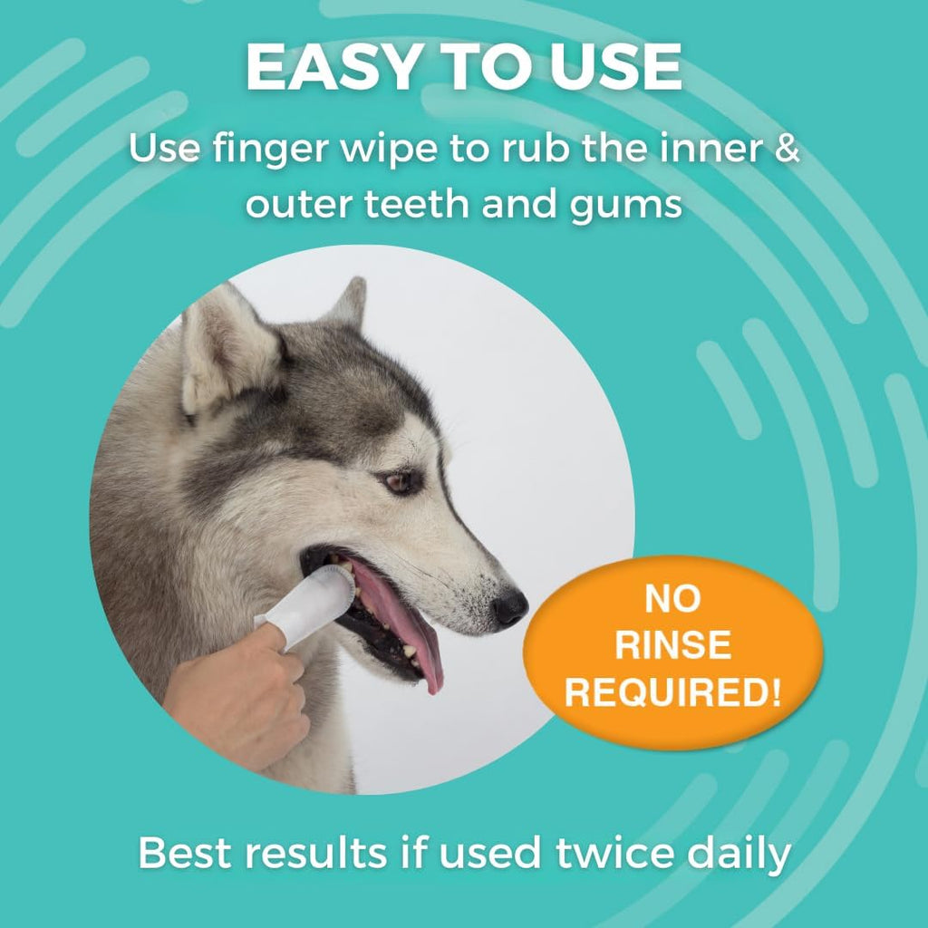 Nootie Medicated Dental Finger Wipes for Dogs, Cleans Teeth and Freshens Breath Dog Dental Care - Prevents Plaque and Tartar Dog Oral Care, 80 Wipes