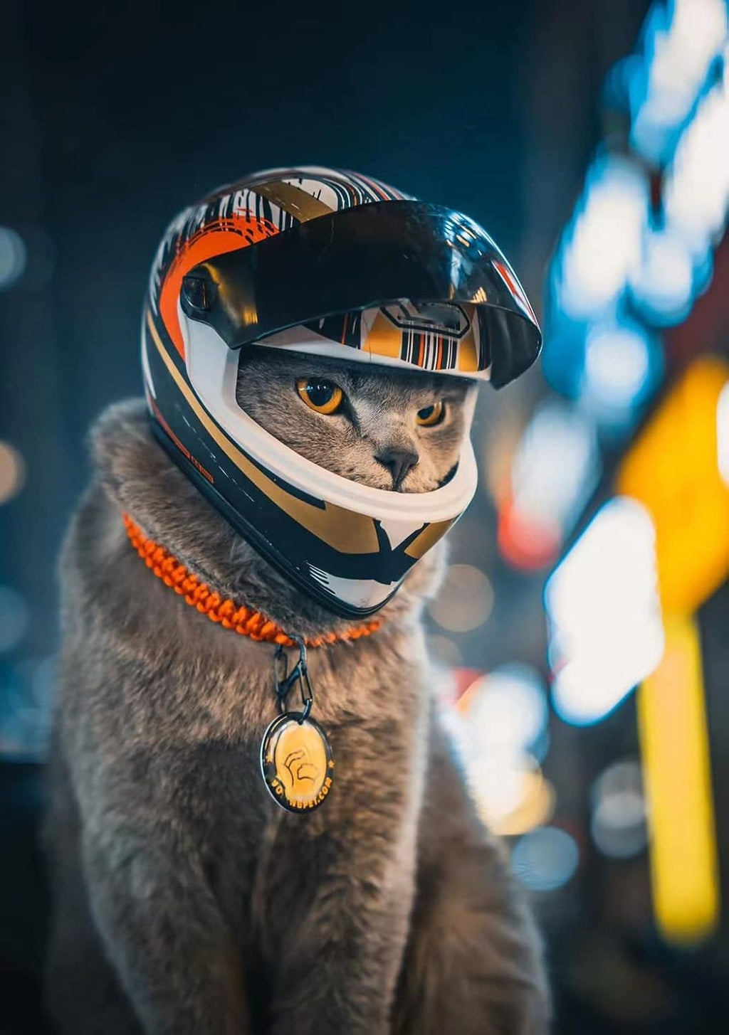 Pet Motorcycle Helmet for Cat Dog - Full Face Outdoor Bike Riding Helmet Hat (Multicolor)