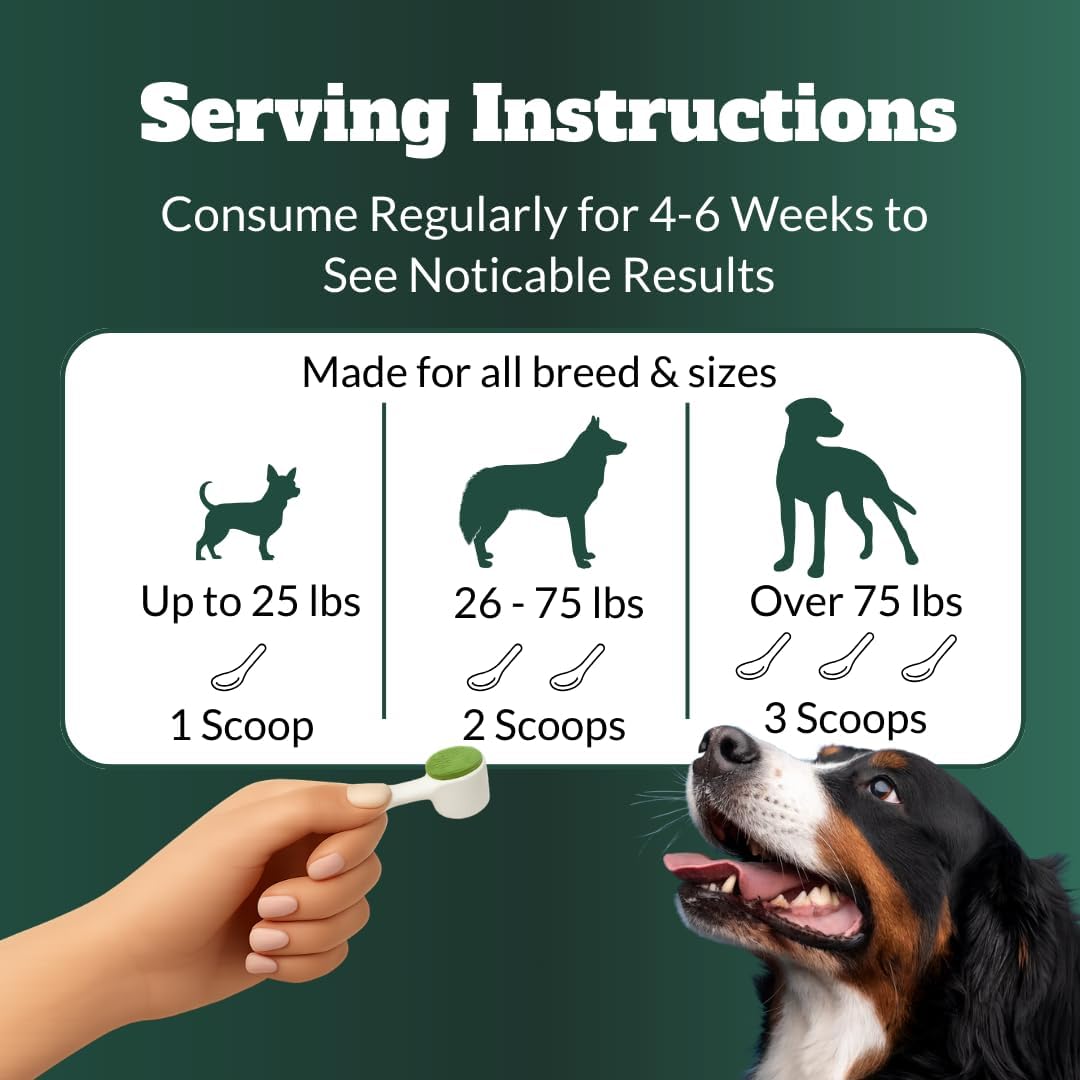 Dog Teeth Cleaning Powder, Dog Dental Powder and Cats Breath Freshener, Plaque Off Pet Tooth Cleaning lab co, Bad Breath & Tartar Remover for Dogs, Dog Teeth Cleaning with Enzymes 120 Day Supply, 120g