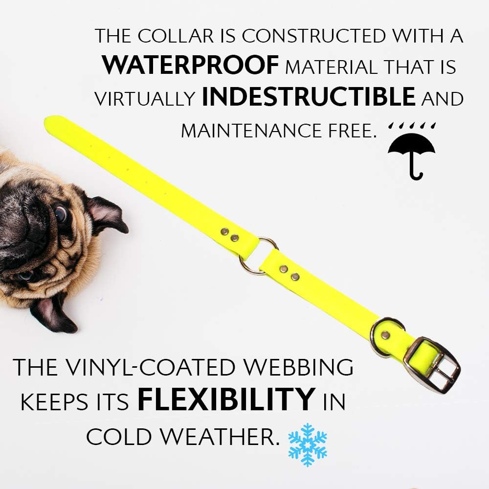 Regal Dog Products Waterproof Dog Collar, Nickel, Small Yellow & Leash
