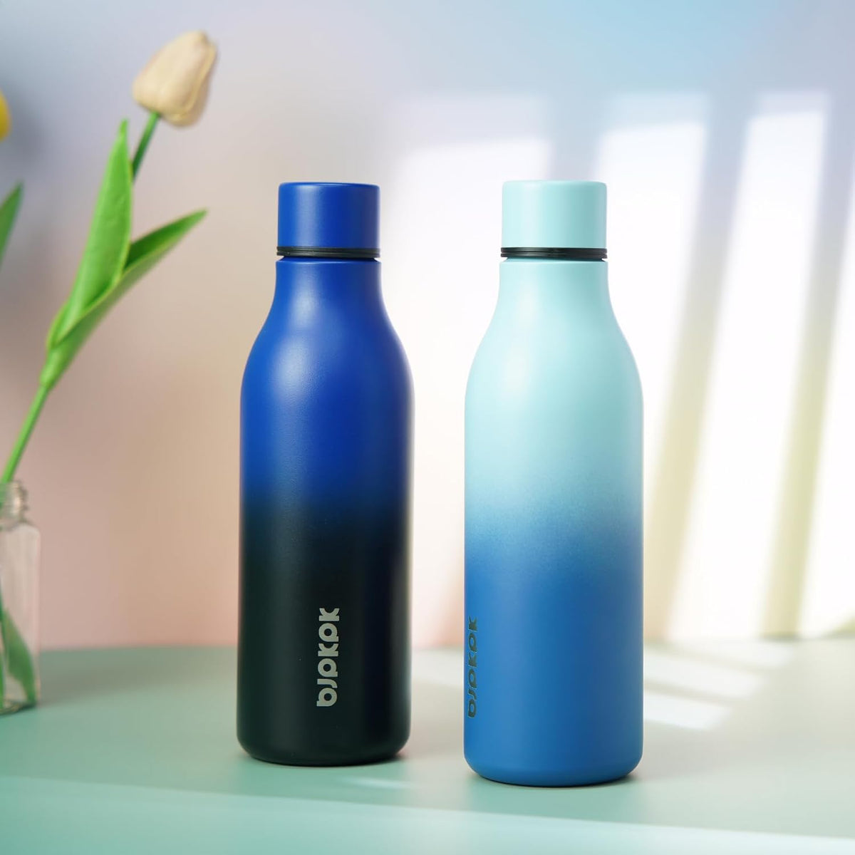 BJPKPK 18oz Insulated Water Bottle, Stainless Steel Bottle with Carry Strap