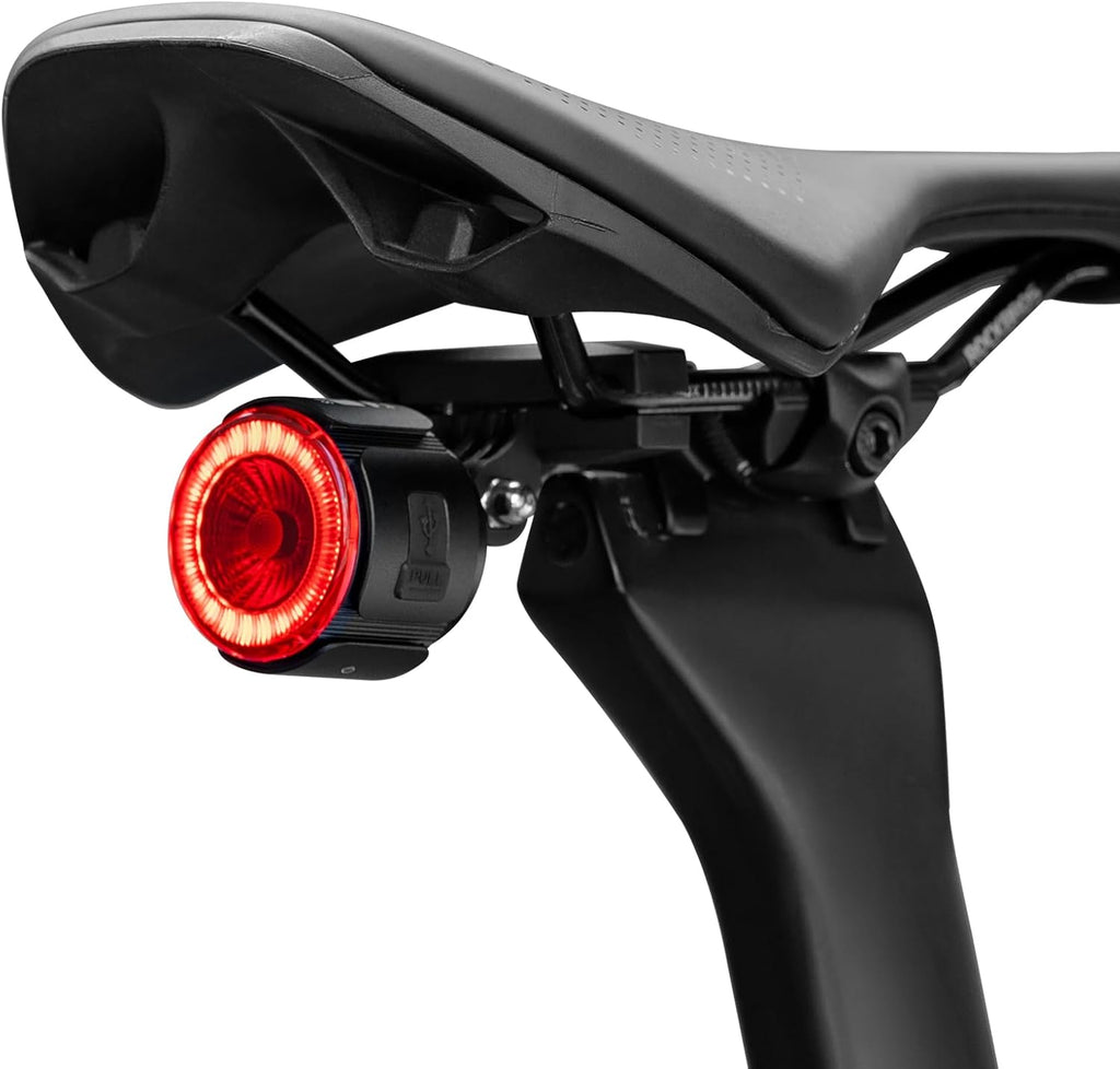 ROCKBROS Smart Bike Tail Light Brake Sensor Rear Light Type-C Battery