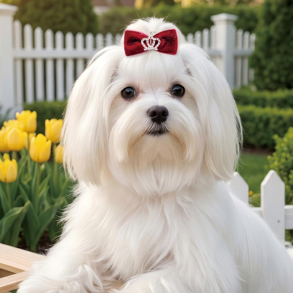 100PCS Multi-Style Assorted Dog Hair Bows for Small Puppies & Cats