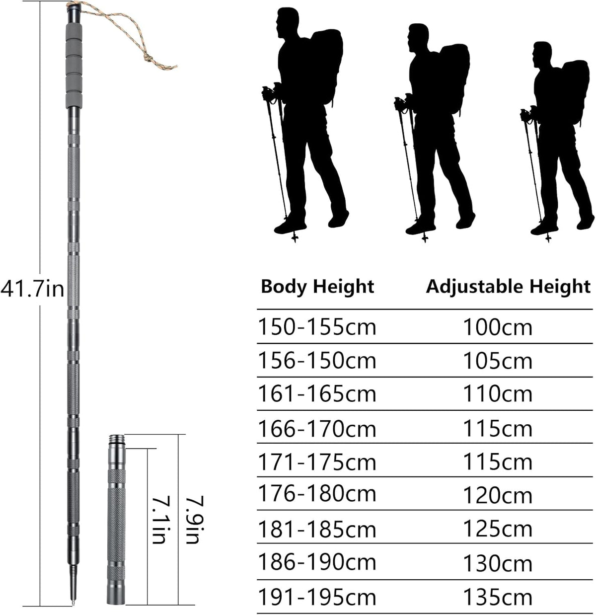 Hiking Pole Detachable Lightweight for Hiking Stick Walking Pole for Man Women