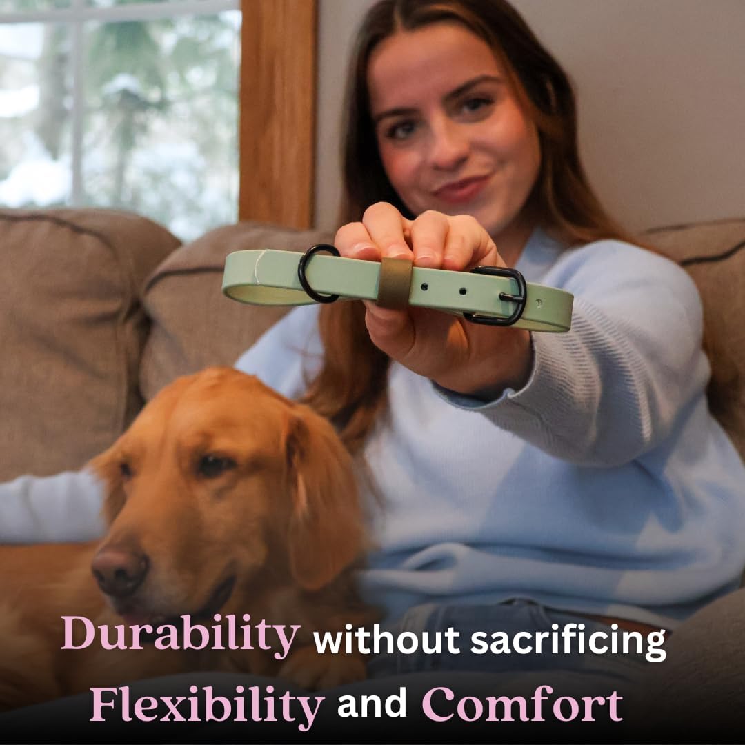 Multi-Color Odor-Resistant Waterproof Biothane Dog Collar Large Sage Green with Olive Drab Loop