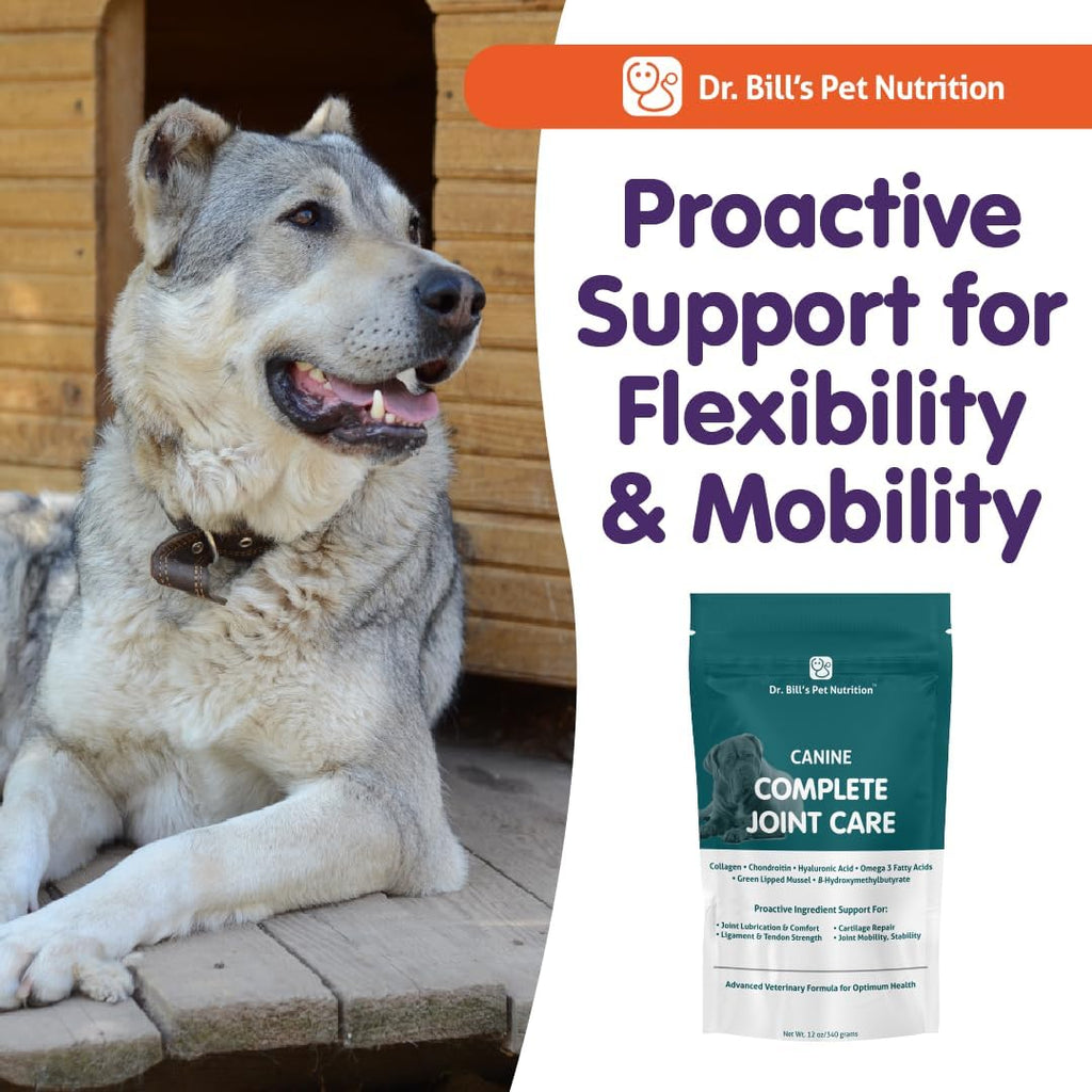 Dr. Bill’s Canine Complete Joint Care – Advanced Hip & Joint Supplement for Dogs – Supports Mobility, Cartilage & Muscle with HMB, Multi-Collagen, Green Lipped Mussel & Turmeric