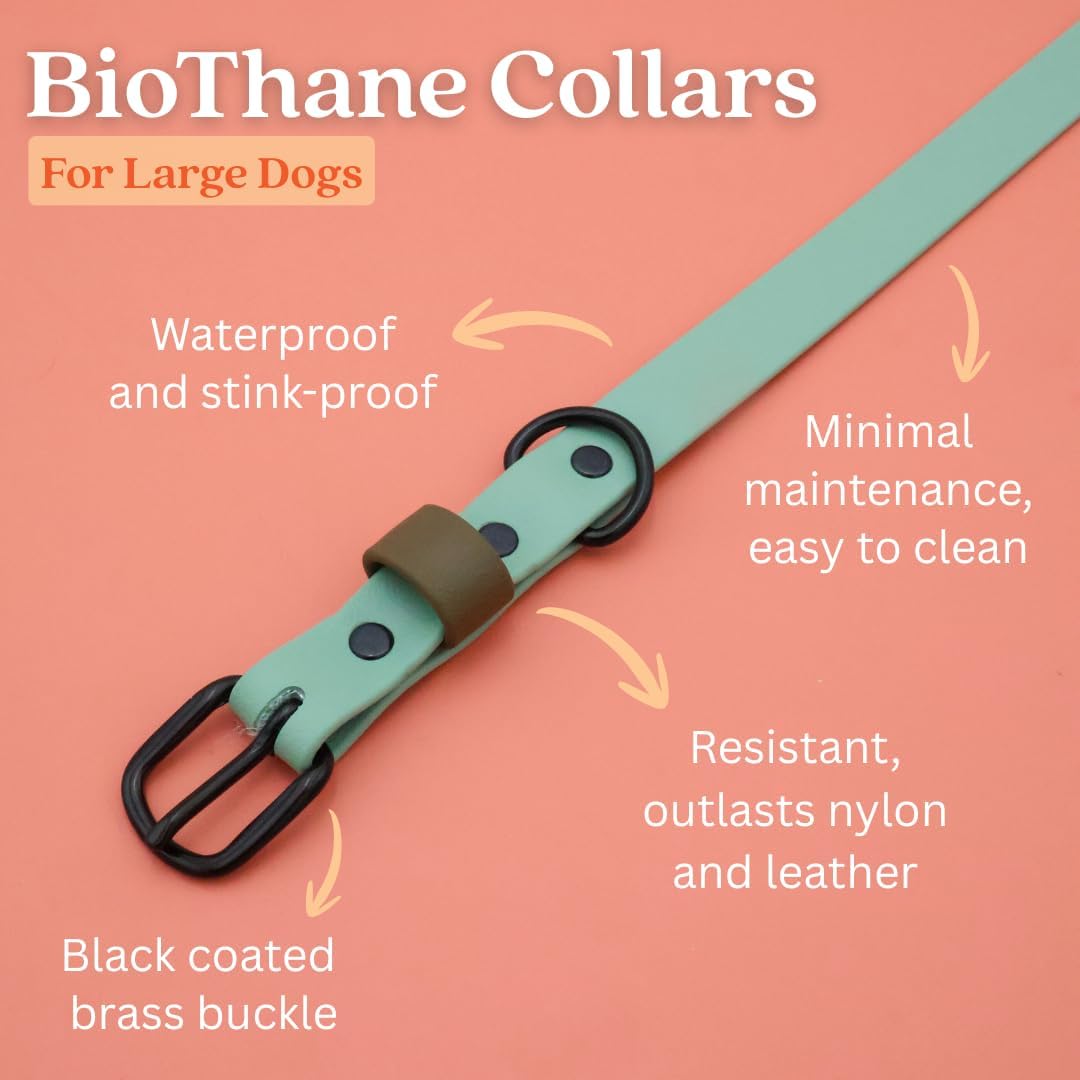 Multi-Color Odor-Resistant Waterproof Biothane Dog Collar Large Sage Green with Olive Drab Loop
