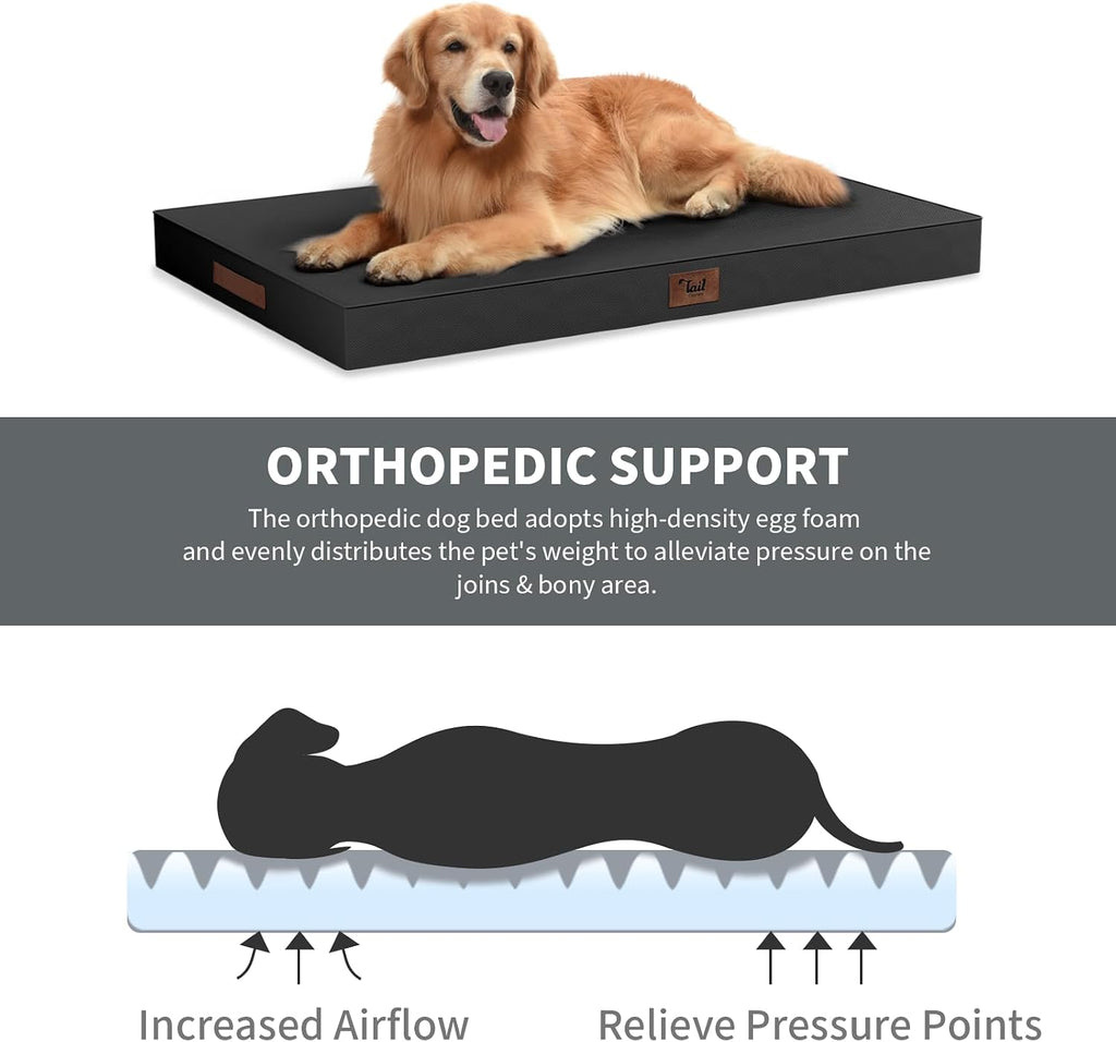 Orthopedic Waterproof Dog Bed for Small Dogs and Cats