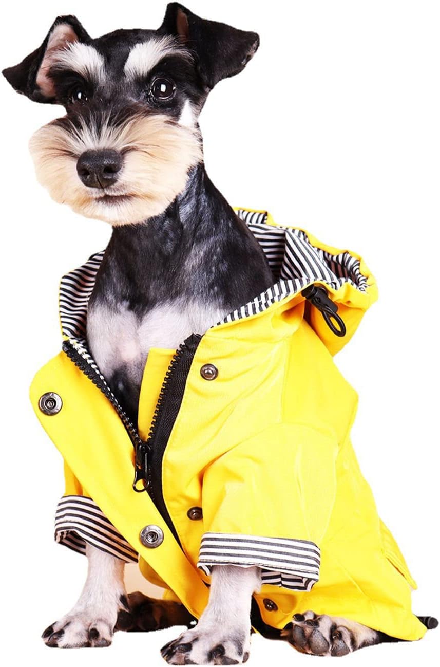 Skateboard Frog Dog Raincoat Jacket Zip up Yellow Hoodie Water Resistant