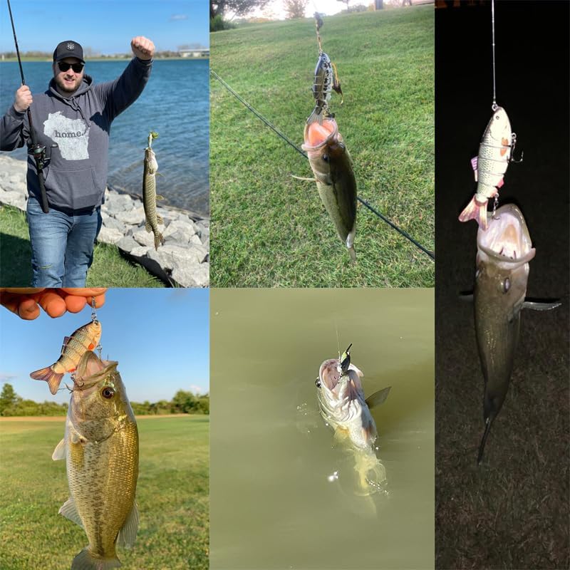 Multi-Segmented Fishing Lures, Glide Swim Bait Lure for Bass Fishing Stuff