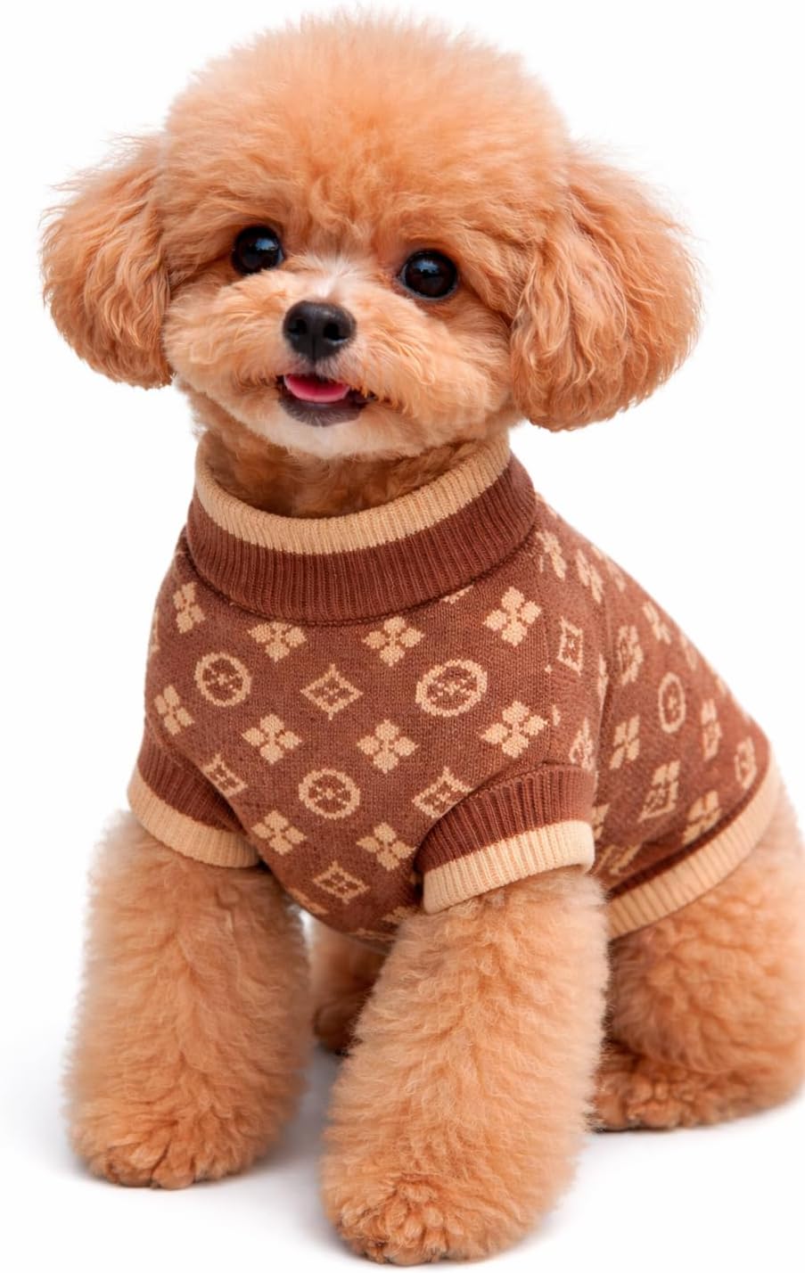 Dog Sweater for Small Dogs, Designer Dog Clothes, Luxury Chewy Pawtton Knit
