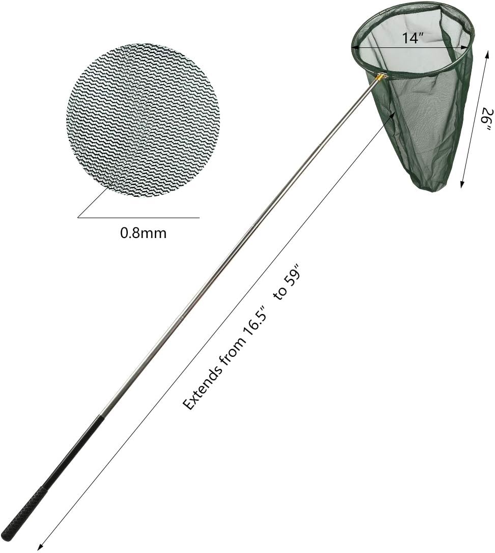 Professional Insect and Butterfly Net with 14" Ring, 26" Net Depth, 59" Telescopic Handle Full Extends to 73" Stainless Lockable