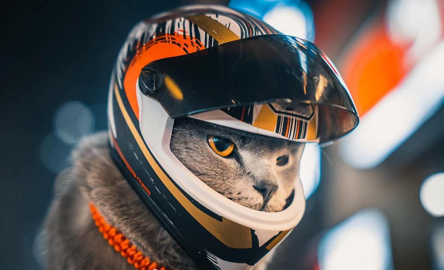 Pet Motorcycle Helmet for Cat Dog - Full Face Outdoor Bike Riding Helmet Hat (Multicolor)