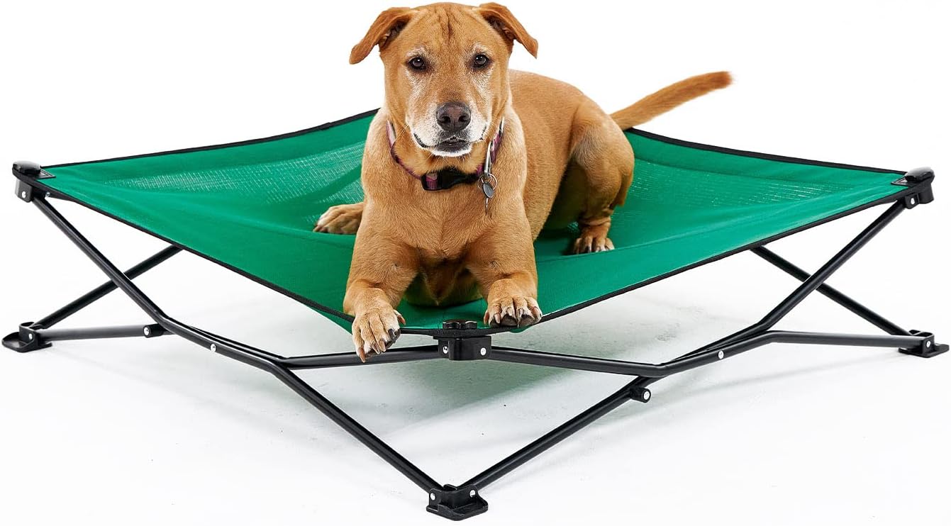 Coolaroo On-The-Go Elevated Dog Bed - Foldable Pop-Up Travel Dog Bed with Breathable, Moisture-Resistant Fabric, Carry Bag Included, Lightweight & Portable, Emerald Green, Large