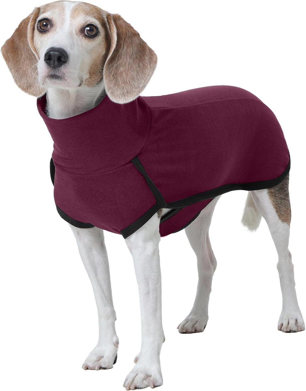 ROZKITCH Dog Sweater S, Warm Turtleneck Shirt for Medium Dogs
