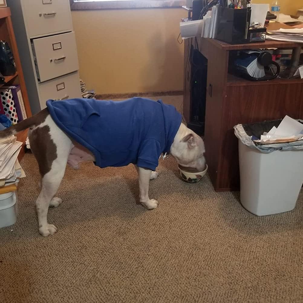 BINGPET Security Dog Hoodie, Pet Sweater Clothes with Leash Hole, Blue
