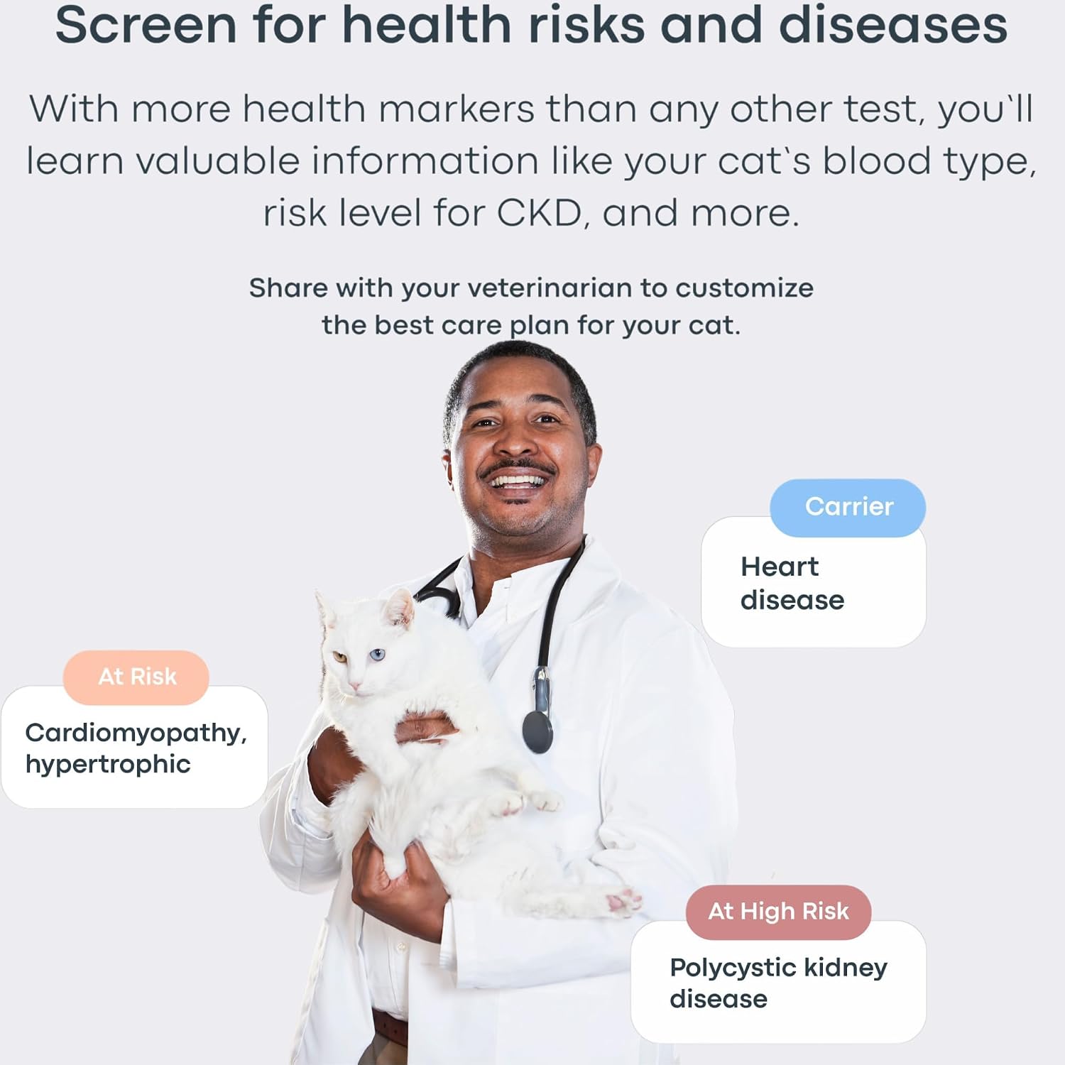 Basepaws Cat DNA Test Kit, Breed, Health & Dental Insights (Pack of 2)