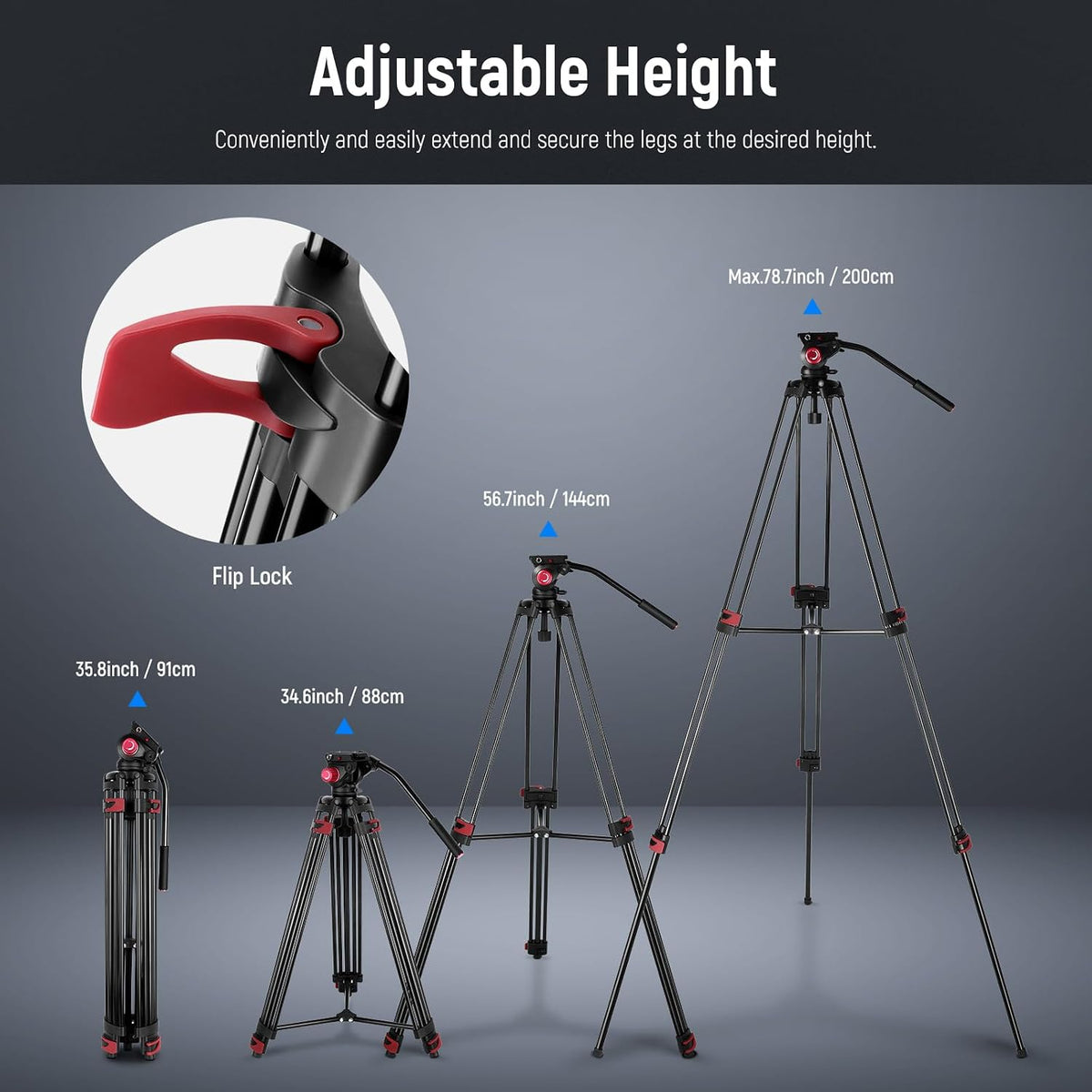 NEEWER 79"/200cm Video Tripod, Heavy Duty Aluminum Alloy Camera Tripod Stand with 360° Fluid Drag Head, QR Plate Compatible with Canon Nikon Sony and Other DSLR Camera Camcorder, Load Up to 17.6lb/8kg