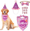 ADOGGYGO Dog Birthday Hat, Pink Birthday Girl Dog Bandana Set, X-Large