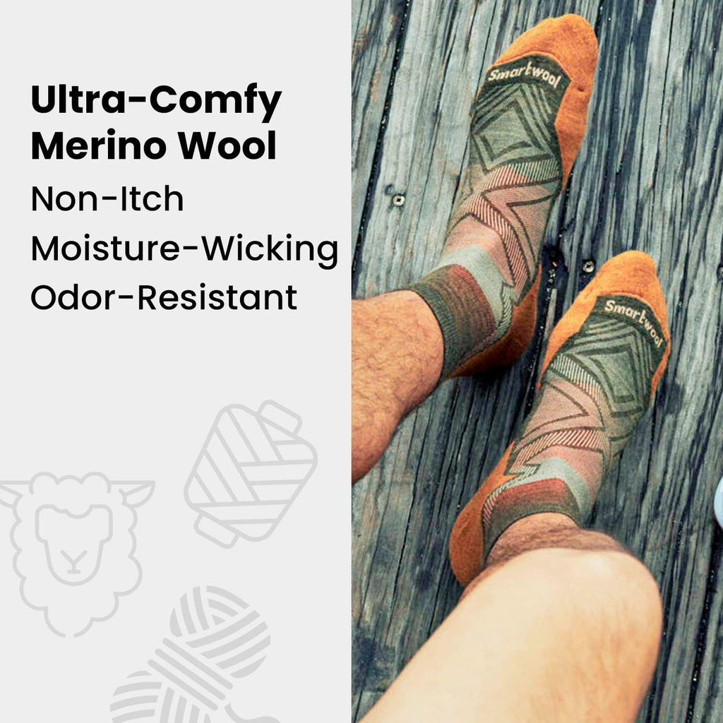 Smartwool Mens Hike Light Cushion Panorama Crew Socks